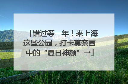 错过等一年！来上海这些公园，打卡莫奈画中的“夏日神颜”→