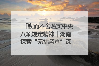 锲而不舍落实中央八项规定精神｜湖南探索“无扰督查”深化基层减负