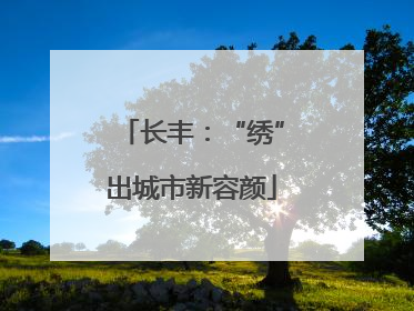 长丰：“绣”出城市新容颜