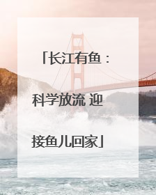 长江有鱼：科学放流 迎接鱼儿回家