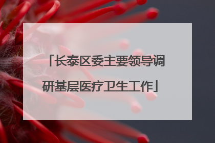 长泰区委主要领导调研基层医疗卫生工作
