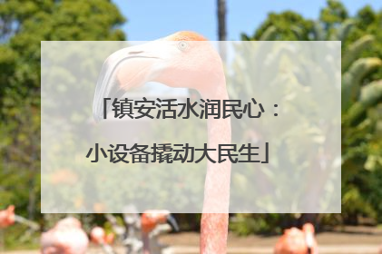 镇安活水润民心：小设备撬动大民生