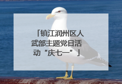 镇江润州区人武部主题党日活动“庆七一”