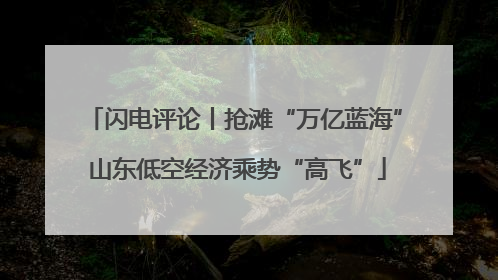 闪电评论丨抢滩“万亿蓝海” 山东低空经济乘势“高飞”
