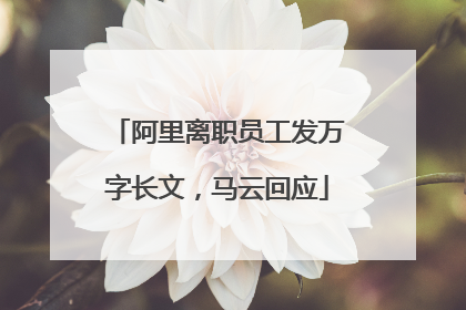 阿里离职员工发万字长文，马云回应