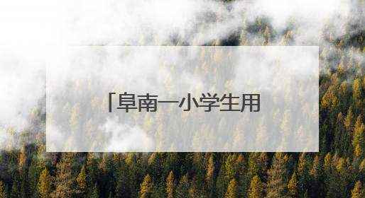 阜南一小学生用压岁钱买水为中高考学子送清凉