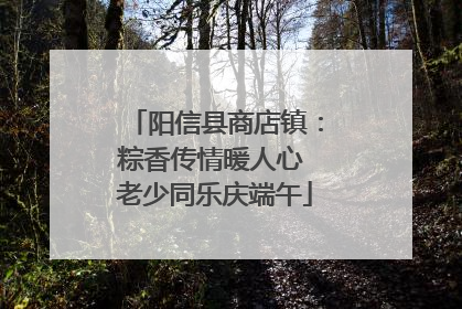阳信县商店镇：粽香传情暖人心 老少同乐庆端午
