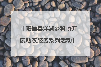 阳信县洋湖乡科协开展助农服务系列活动