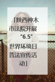 陕西神木市法院开展“6.5”世界环境日普法宣传活动