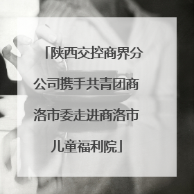 陕西交控商界分公司携手共青团商洛市委走进商洛市儿童福利院