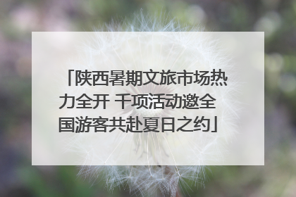 陕西暑期文旅市场热力全开 千项活动邀全国游客共赴夏日之约