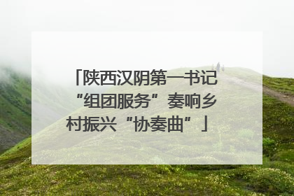陕西汉阴第一书记“组团服务”奏响乡村振兴“协奏曲”