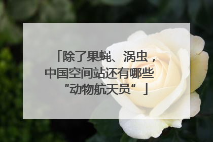 除了果蝇、涡虫，中国空间站还有哪些“动物航天员”