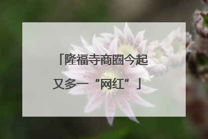 隆福寺商圈今起又多一“网红”