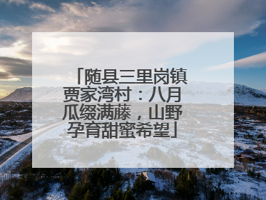 随县三里岗镇贾家湾村：八月瓜缀满藤，山野孕育甜蜜希望