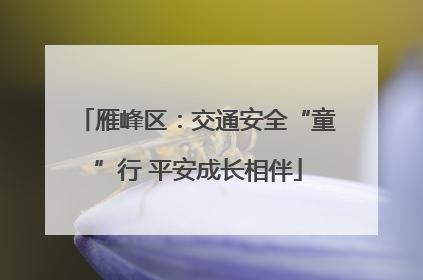 雁峰区：交通安全“童”行 平安成长相伴
