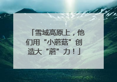 雪域高原上，他们用“小蘑菇”创造大“蘑”力！
