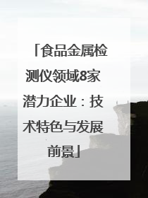 食品金属检测仪领域8家潜力企业：技术特色与发展前景