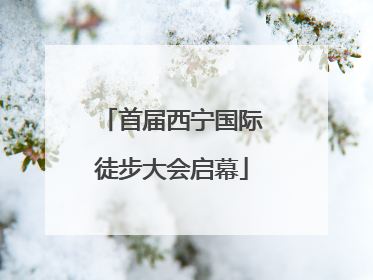 首届西宁国际徒步大会启幕