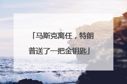 马斯克离任，特朗普送了一把金钥匙