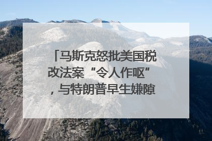 马斯克怒批美国税改法案“令人作呕”，与特朗普早生嫌隙？｜国际识局