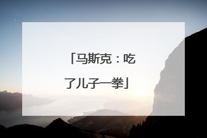 马斯克：吃了儿子一拳