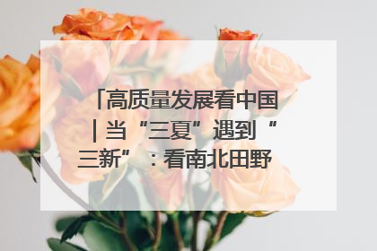 高质量发展看中国｜当“三夏”遇到“三新”：看南北田野里的科技共生记
