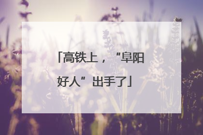高铁上，“阜阳好人”出手了