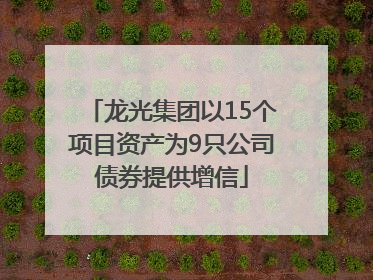 龙光集团以15个项目资产为9只公司债券提供增信