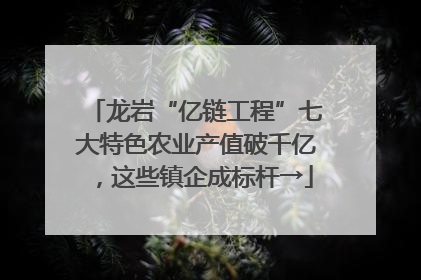 龙岩“亿链工程”七大特色农业产值破千亿，这些镇企成标杆→