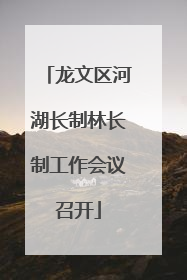 龙文区河湖长制林长制工作会议召开