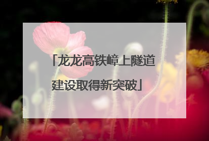 龙龙高铁嶂上隧道建设取得新突破