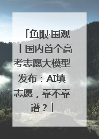 鱼眼·围观丨国内首个高考志愿大模型发布：AI填志愿，靠不靠谱？