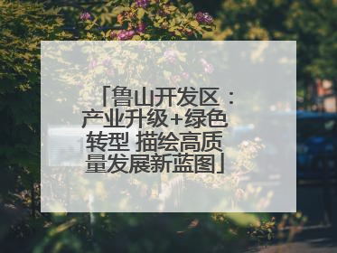 鲁山开发区：产业升级+绿色转型 描绘高质量发展新蓝图