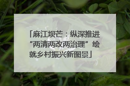 麻江坝芒：纵深推进“两清两改两治理”绘就乡村振兴新图景