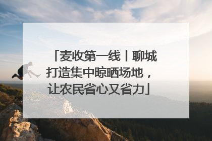 麦收第一线丨聊城打造集中晾晒场地，让农民省心又省力