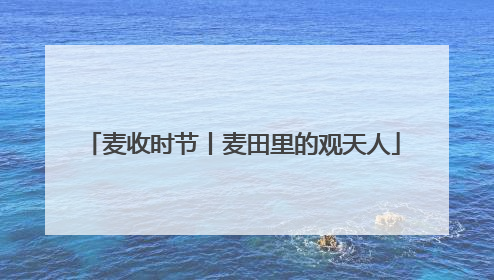 麦收时节丨麦田里的观天人