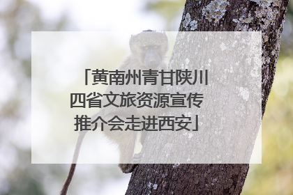 黄南州青甘陕川四省文旅资源宣传推介会走进西安