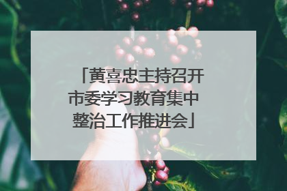 黄喜忠主持召开市委学习教育集中整治工作推进会