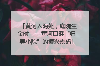 黄河入海处，庭院生金时——黄河口畔“归寻小院”的振兴密码