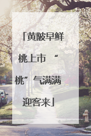 黄陂早鲜桃上市 “桃”气满满迎客来