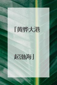 黄骅大港起渤海