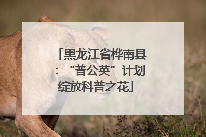 黑龙江省桦南县：“普公英”计划绽放科普之花