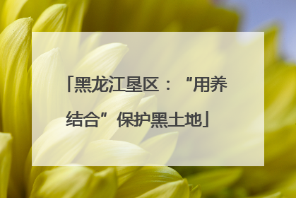 黑龙江垦区：“用养结合”保护黑土地