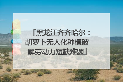 黑龙江齐齐哈尔：胡萝卜无人化种植破解劳动力短缺难题