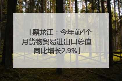黑龙江：今年前4个月货物贸易进出口总值同比增长2.9%