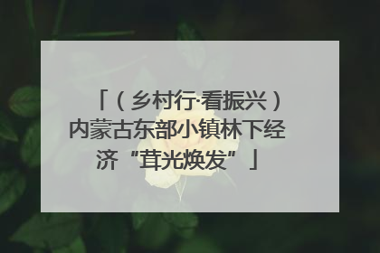 （乡村行·看振兴）内蒙古东部小镇林下经济“茸光焕发”