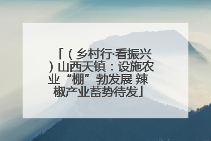 （乡村行·看振兴）山西天镇：设施农业“棚”勃发展 辣椒产业蓄势待发