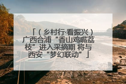 （乡村行·看振兴）广西合浦“香山鸡嘴荔枝”进入采摘期 将与西安“梦幻联动”
