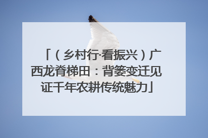 （乡村行·看振兴）广西龙脊梯田：背篓变迁见证千年农耕传统魅力